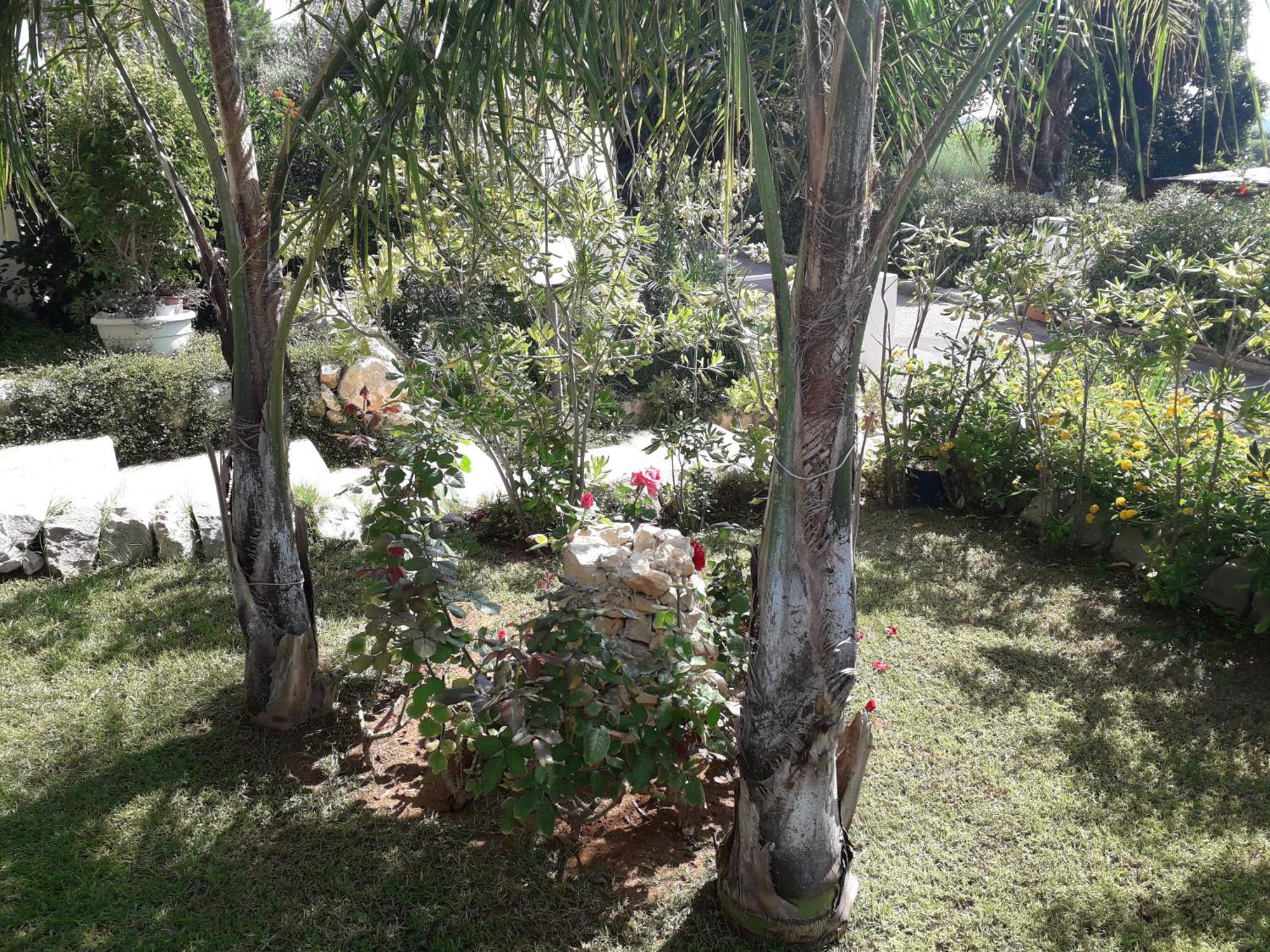 L'Oasi Di Athena Villa รากูซา ภายนอก รูปภาพ
